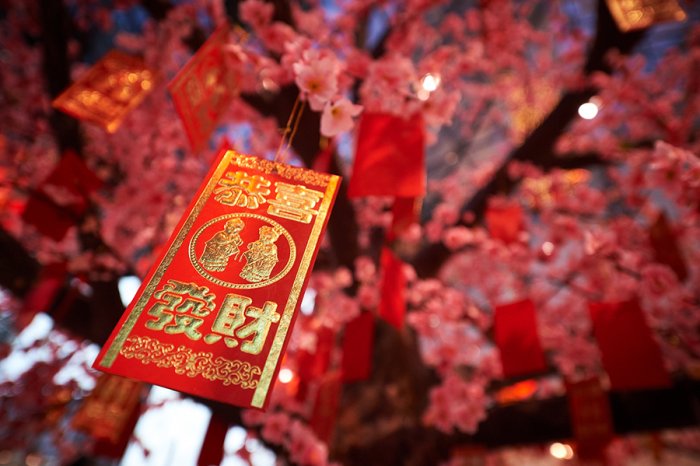 This world bid farewell to the Chinese (Year of the Rooster), and receive the (Year of the Dog)