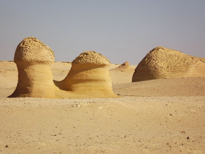 Wadi Al-Hitan Geological Reserve in Fayoum