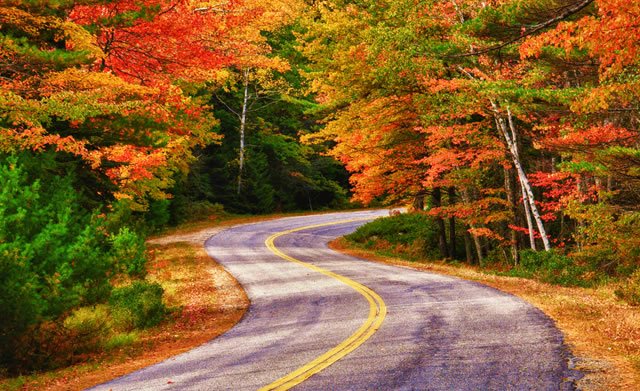 Tips for a great autumn trip