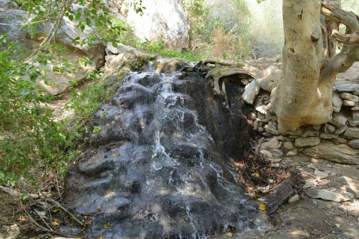 Fresh water in the village of Dhi Ain