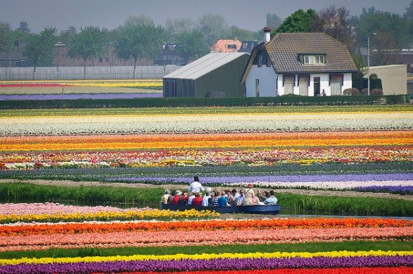 Keukenhof in the Netherlands ... the most beautiful rose garden - Keukenhof in the Netherlands ... the most beautiful rose garden in the world