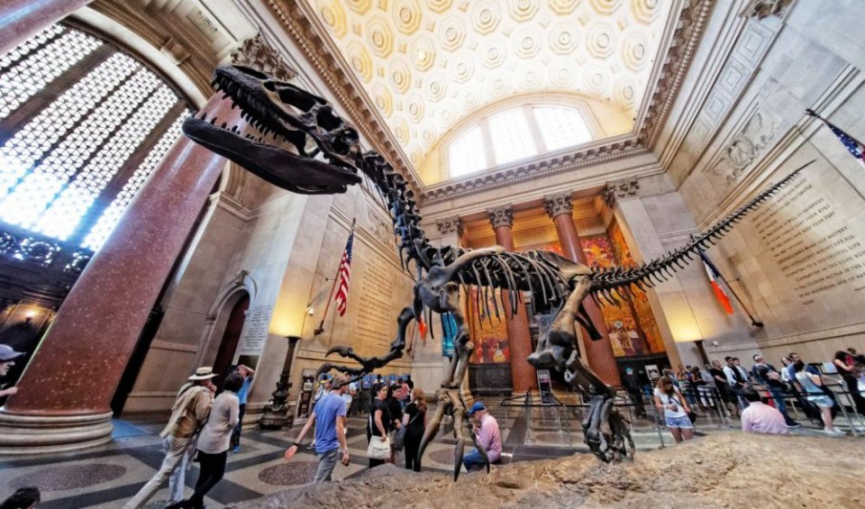 New York Natural History Museum