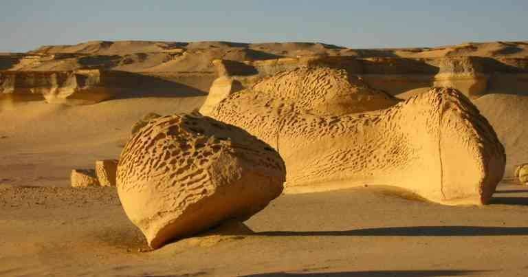 "Whale Valley" .. the most important tourist attractions in Fayoum ..