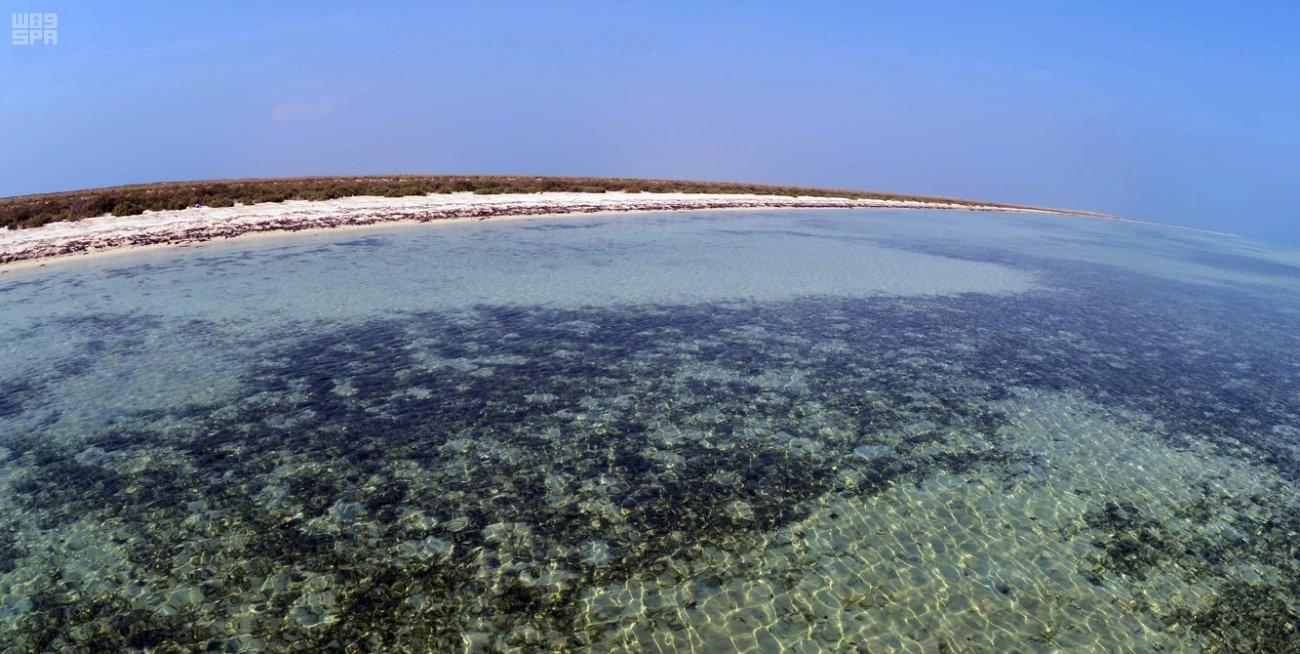 Saudi islands captivating tourists with their beauty - Saudi islands captivating tourists with their beauty