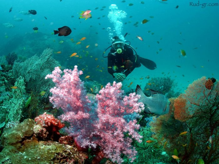 The island's tourist attractions and its most popular dive sites can be crowded