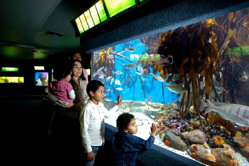 Aquariums surrounding South Africa