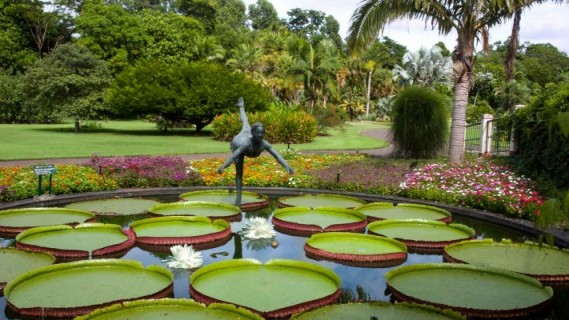 São Paulo Botanical Garden, one of the most beautiful parks in São Paulo, Brazil