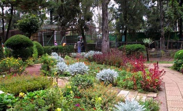 The 4 best activities in the Black Garden in Addis - The 4 best activities in the Black Garden in Addis Ababa