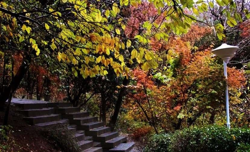     Jamsheedia National Park, Tehran