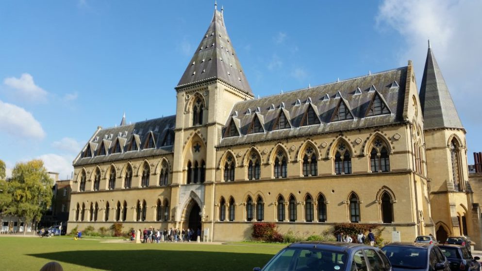 The 5 best activities at the Oxford Museum of Natural - The 5 best activities at the Oxford Museum of Natural History
