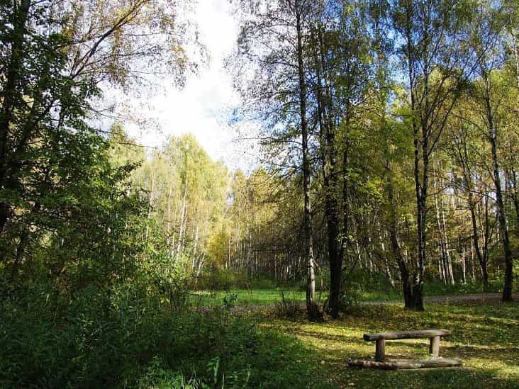 Luzini National Park Moscow 