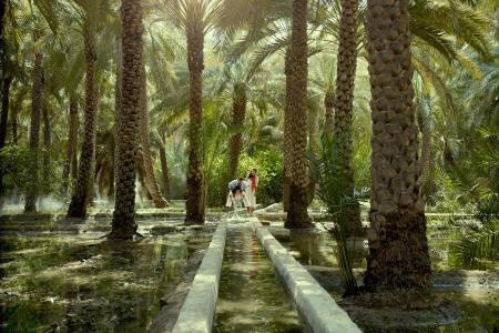 The 6 best activities in the Al Ain Oasis in - The 6 best activities in the Al Ain Oasis in Abu Dhabi