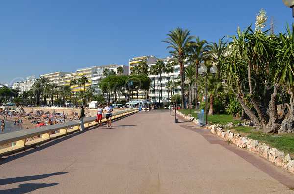 The 6 best activities on La Croisette Street in Cannes - The 6 best activities on La Croisette Street in Cannes, France