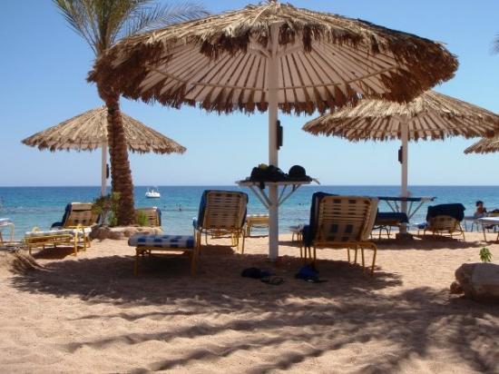 The 6 best activities on Trasina Beach Sharm El Sheikh - The 6 best activities on Trasina Beach, Sharm El Sheikh