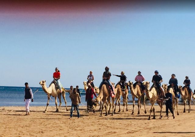 The 6 best activities when visiting Nabq Sharm El Sheikh - The 6 best activities when visiting Nabq Sharm El Sheikh Reserve