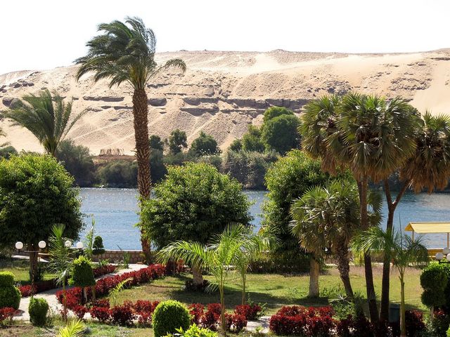 The 6 best activities when visiting Plants Island in Aswan - The 6 best activities when visiting Plants Island in Aswan, Egypt