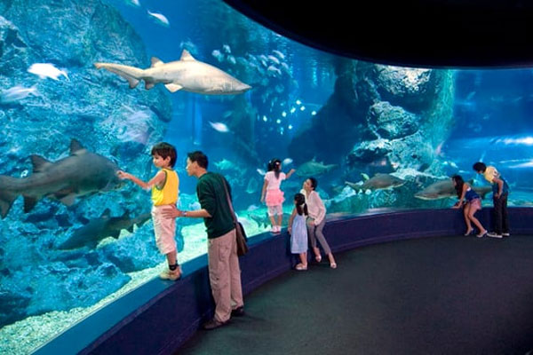Ocean world in Bangkok