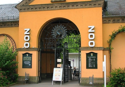 Heidelberg Zoo portal