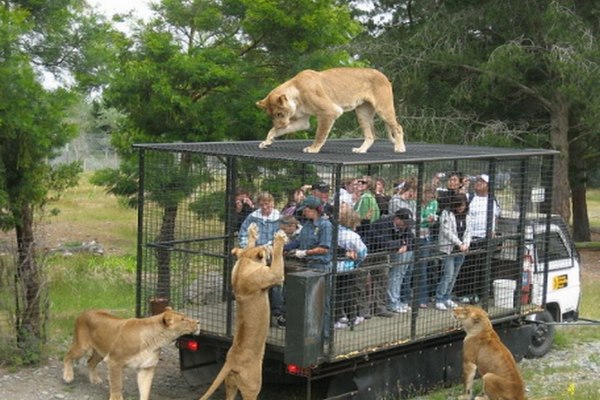 Oakland Zoo