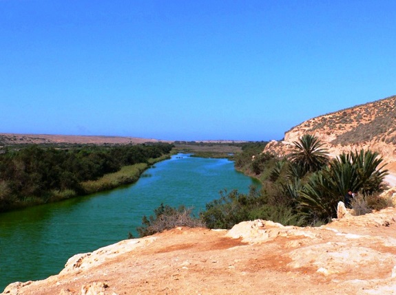 A scene of the Souss-Massa National Park in Agadir