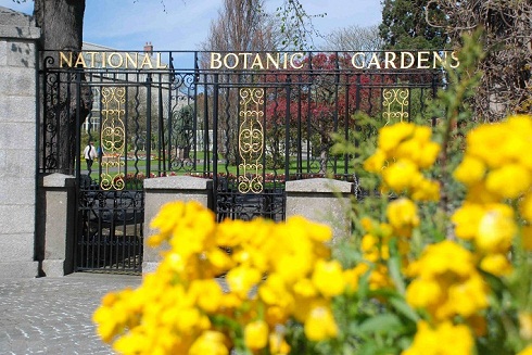 Dublin National Botanical Gardens Dublin