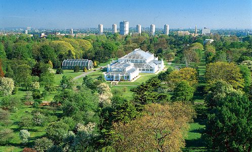 Royal Kew Botanical Gardens 