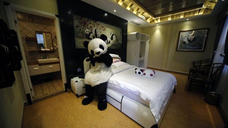 The Panda Hotel in China is a unique hotel of - The Panda Hotel in China is a unique hotel of its kind
