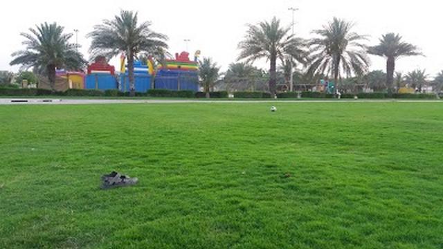 The best 4 activities in Al Jurf Park Ajman