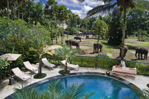 Elephant Park in Lombok - Indonesia