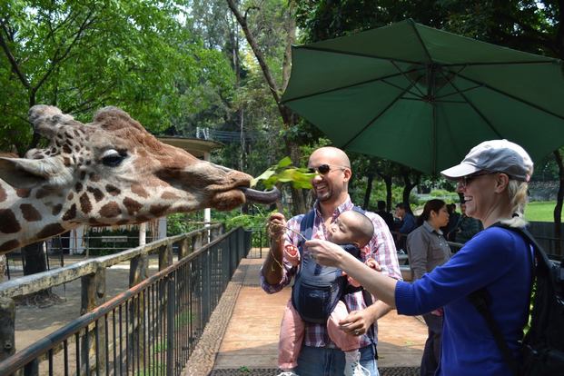 Quanzhou Zoo is one of the most beautiful places of tourism in Quanzhou, China