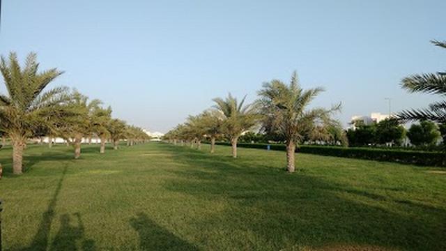 The best 4 activities in Safia park in Ajman - The best 4 activities in Safia park in Ajman