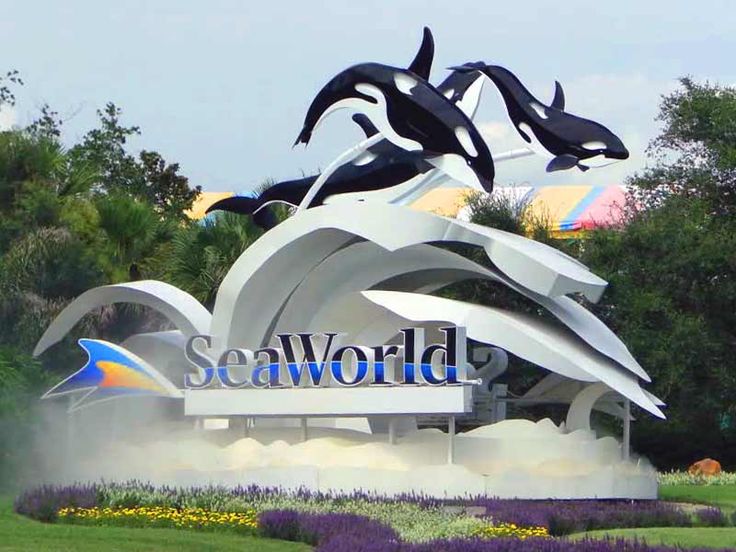 Sea World Orlando