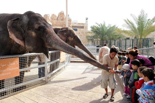 Abu Dhabi Zoo 