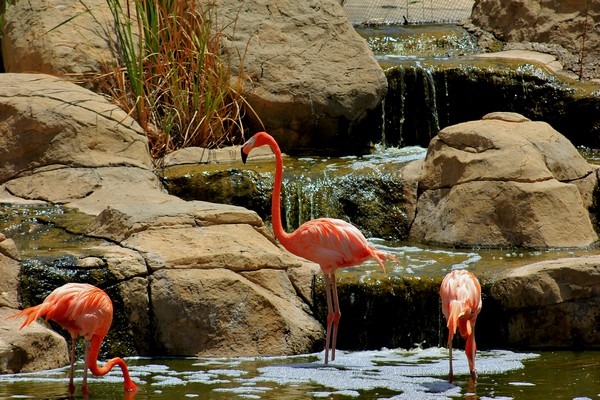 Sousse Zoo 