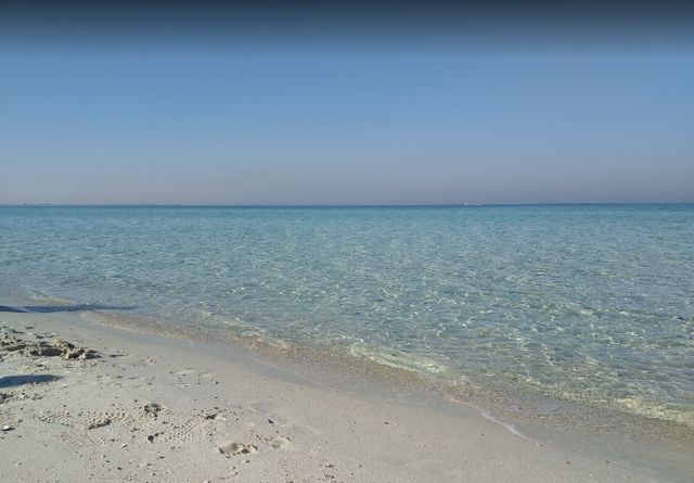 The best 8 activities when visiting Al Aqeer Beach Al Ahsa - The best 8 activities when visiting Al Aqeer Beach, Al-Ahsa