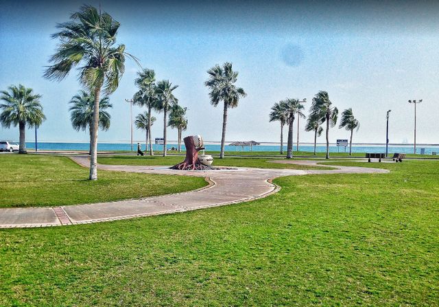 The best 8 activities when visiting Palm Beach in Jubail - The best 8 activities when visiting Palm Beach in Jubail