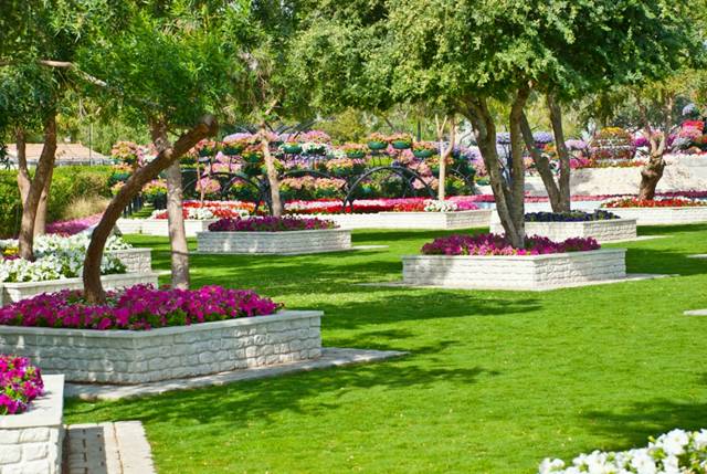 The best 8 activities within Al Ain Paradise Garden - The best 8 activities within Al Ain Paradise Garden