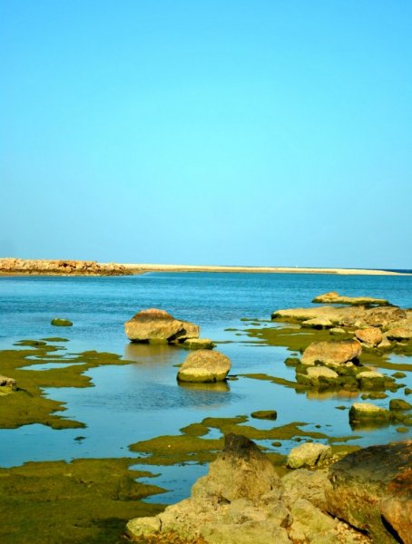 Tiwi is a small and beautiful Omani fishing village located on the eastern coast of the Sultanate of Oman