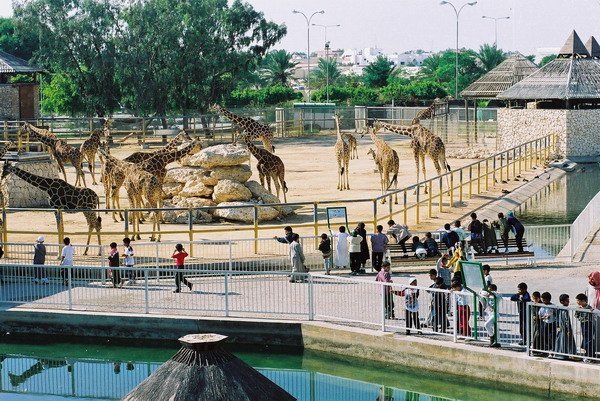 Fun to watch animals at the zoo