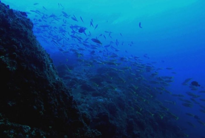 Tikgul Island is an ideal place for fishermen