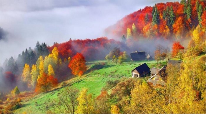 Magic of nature in Ukraine