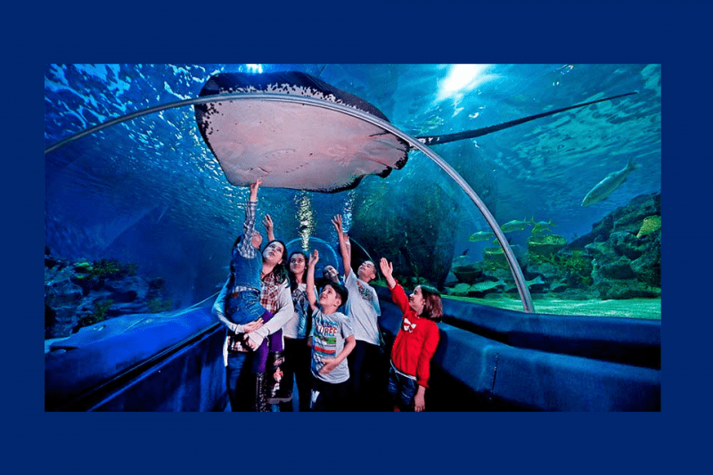 The largest theme park on the sea floor in Bahrain - The largest theme park on the sea floor in Bahrain