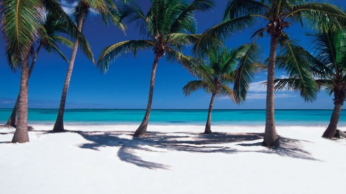 The splendor of the Punta Cana coast