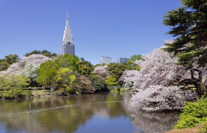 Shinjuku Gyoen National Park