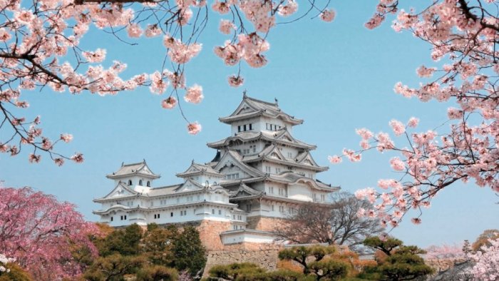 Here are some tips that you should know before traveling to Japan