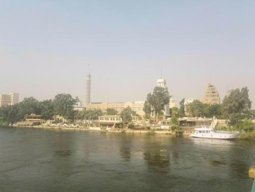 The rowing experience in the Nile River in Cairo is - The rowing experience in the Nile River in Cairo is a new and special pleasure