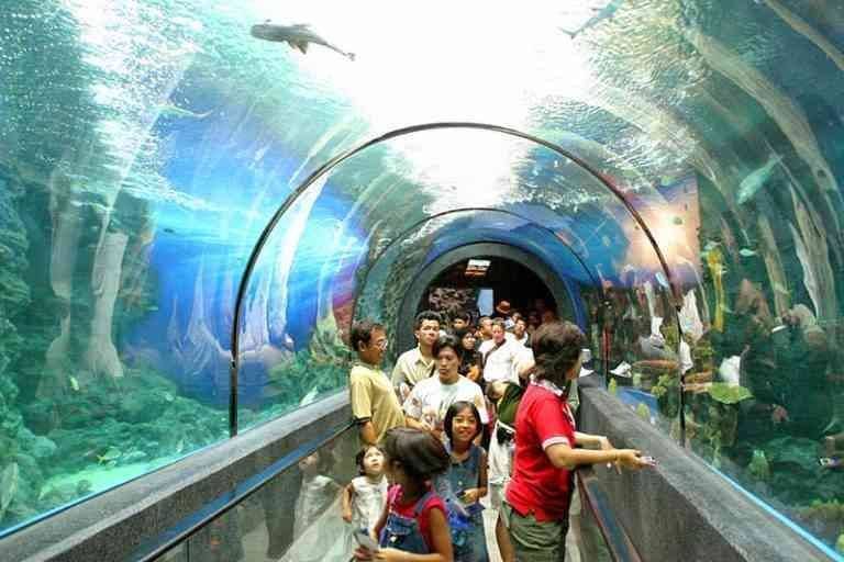 - Phuket Aquarium ..