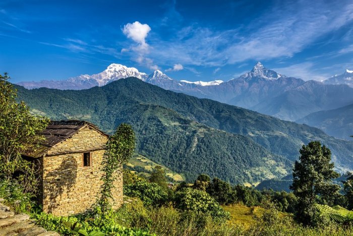 Unique relaxation in Nepal