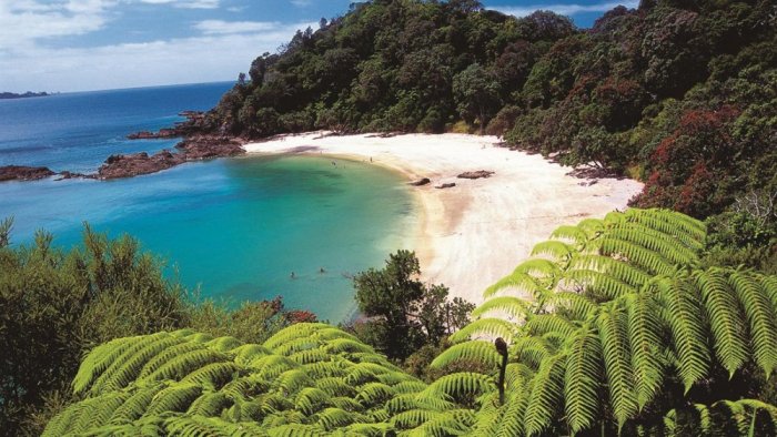 Stunning beaches in New Zealand
