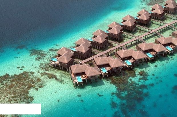 To experience innovative food travel to Coco Bodu Hithi Resort - To experience innovative food, travel to Coco Bodu Hithi Resort is an ideal destination for this
